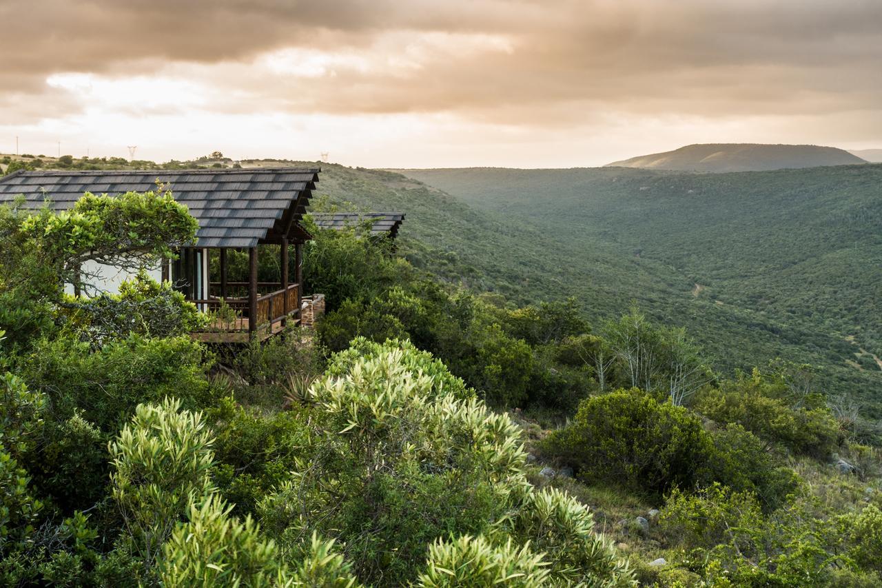 Ikwanitsha Lodge Paterson Eksteriør bilde